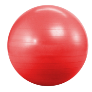 Фітбол Landfit 55 см (з насосом) Fitness Ball 55cm