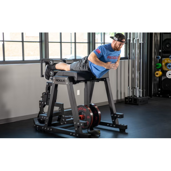 Гіперекстензія Rogue Donkey