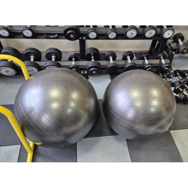 М'яч для фітнесу Generation Fitness Anti-Burst FF-65 см Silver з насосом