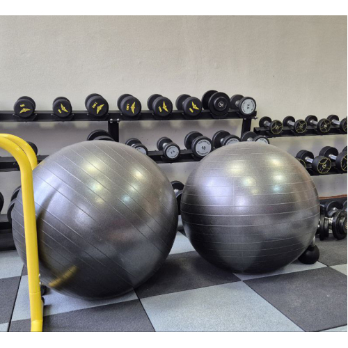 М'яч для фітнесу Generation Fitness Anti-Burst FF-65 см Silver з насосом — мініатюра 9