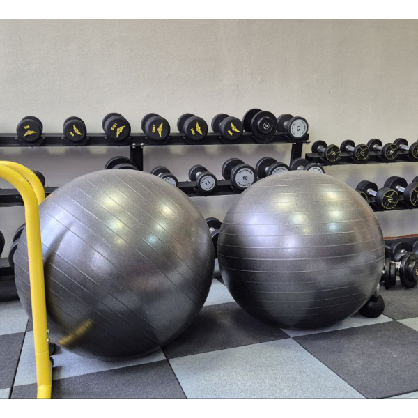 М'яч для фітнесу Generation Fitness Anti-Burst FF-65 см Silver з насосом