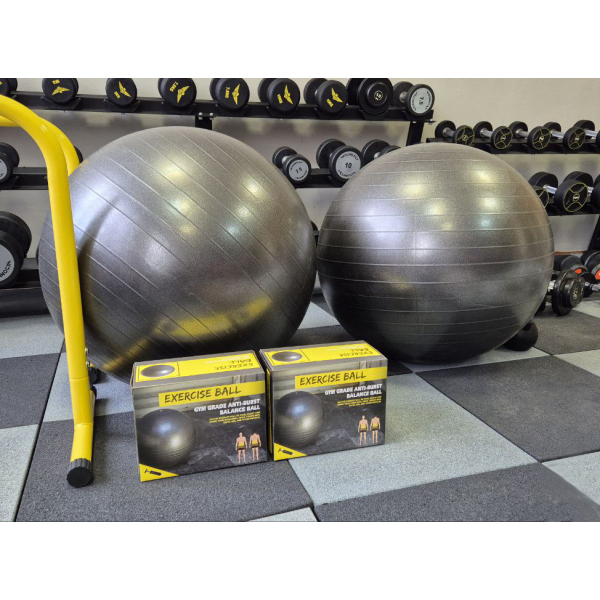 М'яч для фітнесу Generation Fitness Anti-Burst FF-65 см Silver з насосом