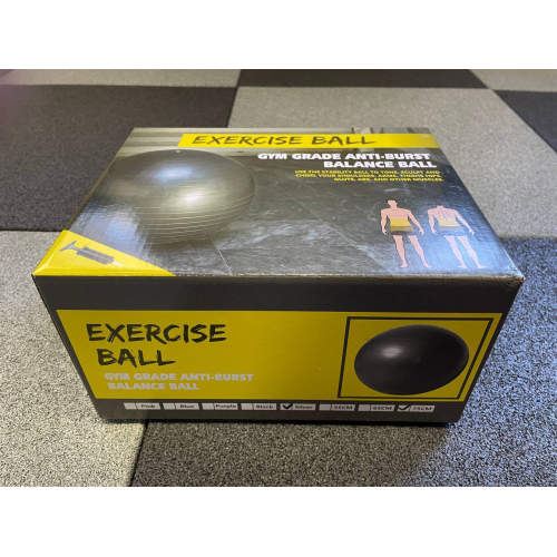 М'яч для фітнесу Generation Fitness Anti-Burst FF-75 см Silver з насосом — мініатюра 8