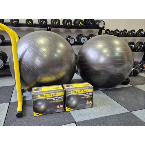 М'яч для фітнесу Generation Fitness Anti-Burst FF-75 см Silver з насосом — мініатюра 10