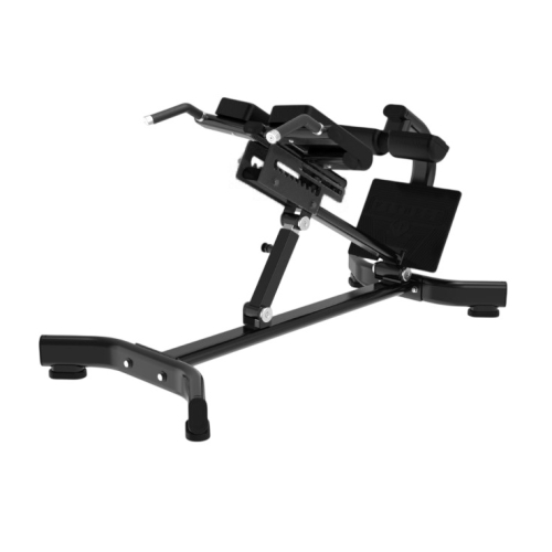 Римський стул Generation Fitness Roman Chair GFN89 — фото 3