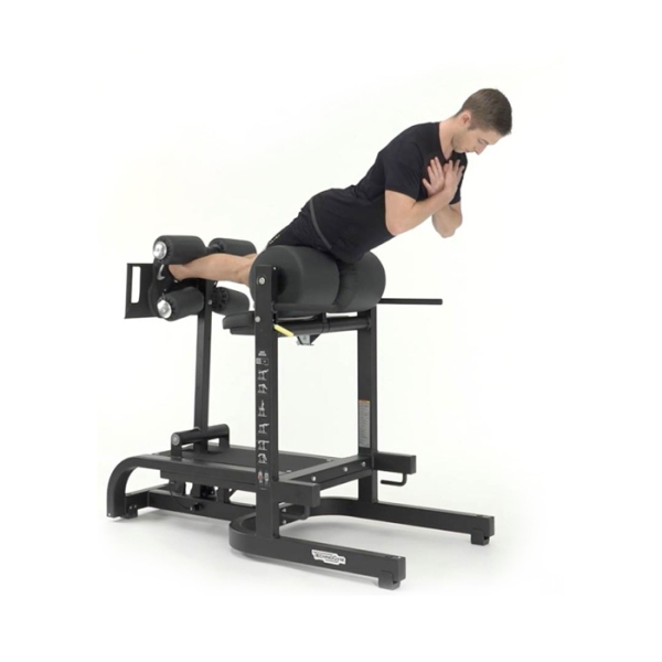 Горизонтальна лава для спини TechnoGym (PG02)