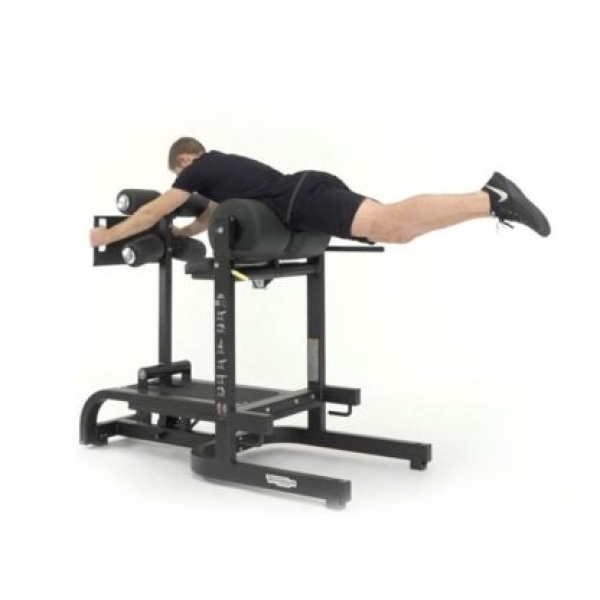 Горизонтальна лава для спини TechnoGym (PG02)