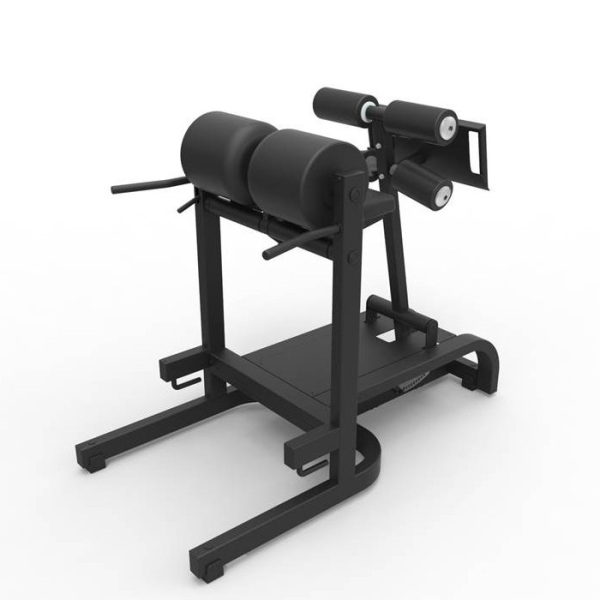 Горизонтальна лава для спини TechnoGym (PG02)