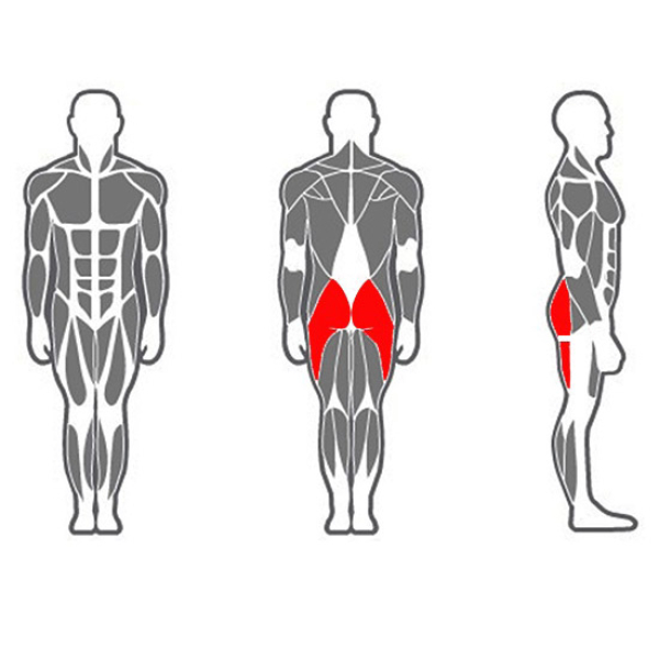 Тренажер для ягодичных мышц (радиальный) InterAtletika Xline X131