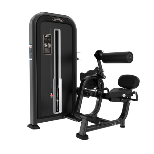 Розгинання спини Iron Impulse Abdominal Crunch/Lower Back TY31