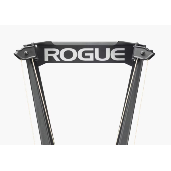 Лижний тренажер Rogue Echo Ski