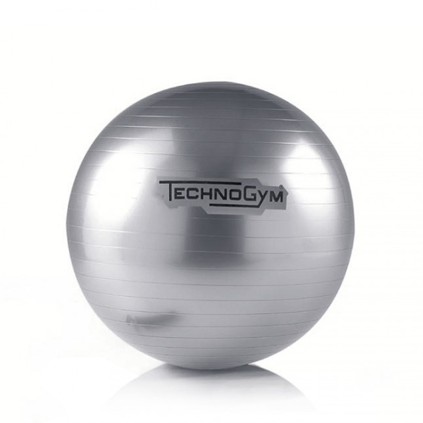 Мяч 55 см Technogym Wellness Ball Kinesis 55cm A0000260AA